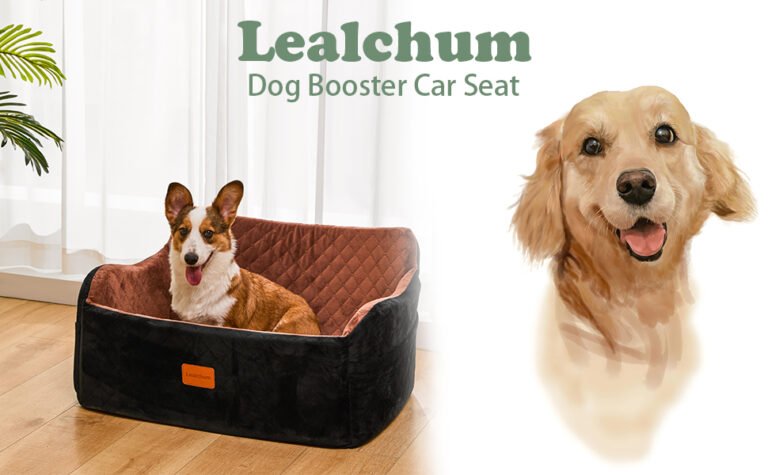 3178d977 4148 44a1 a75b 35ec642aa676. CR00970600 PT0 SX970 V1 Expert Reviews on Home, Garden & Pet Essentials